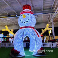 LED Holiday Decorative Lights